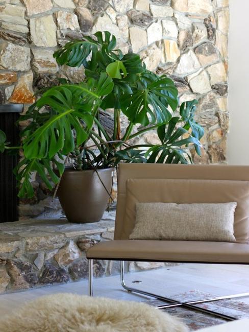 Low Maintenance Modern  Interior Decorating  with House  Plants 