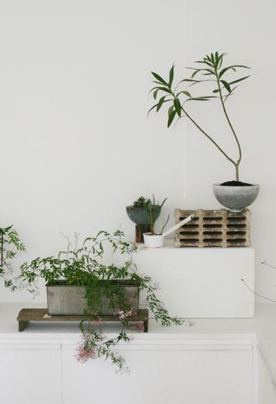 green accessories, indoor plants and room decorating ideas