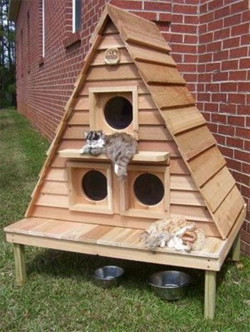 20 Modern Pet  House  Design  Ideas  for Cats and Dogs 