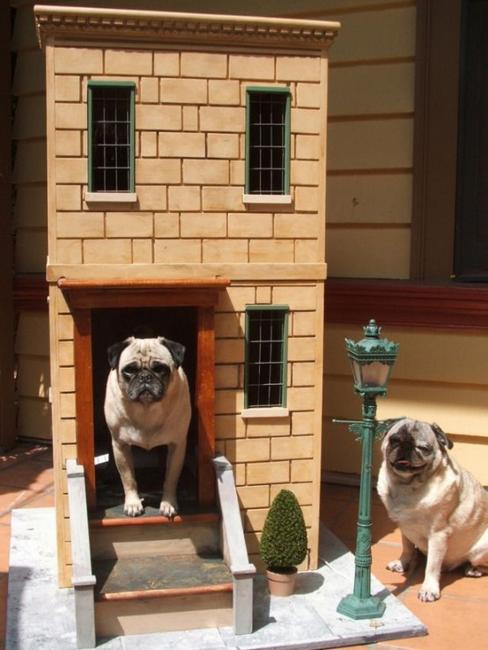 20 Modern Pet  House  Design  Ideas  for Cats and Dogs 