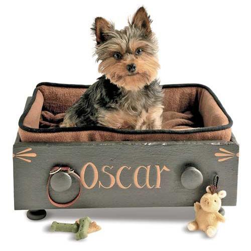 modern pet furniture recycling vintage furniture, suitcases and wooden boxes