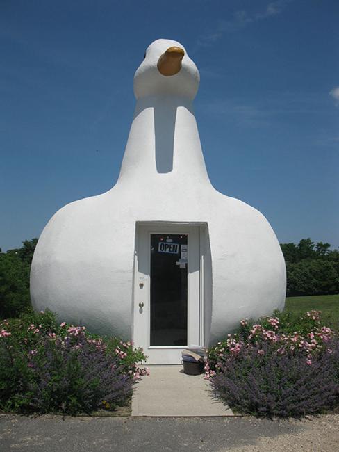 Unusual House Design Ideas Inspired by Animals