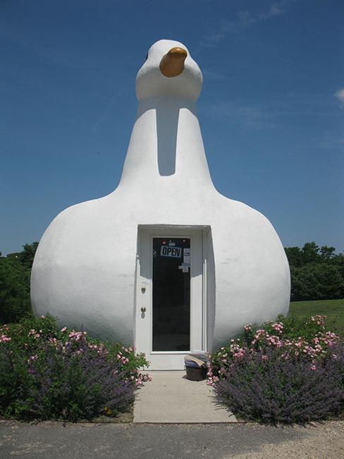 Unusual House Design Ideas Inspired by Animals Unusual House Design Ideas Inspired by Animals