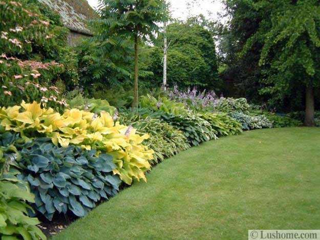21 Ideas For Beautiful Garden Design And Yard Landscaping With Hostas