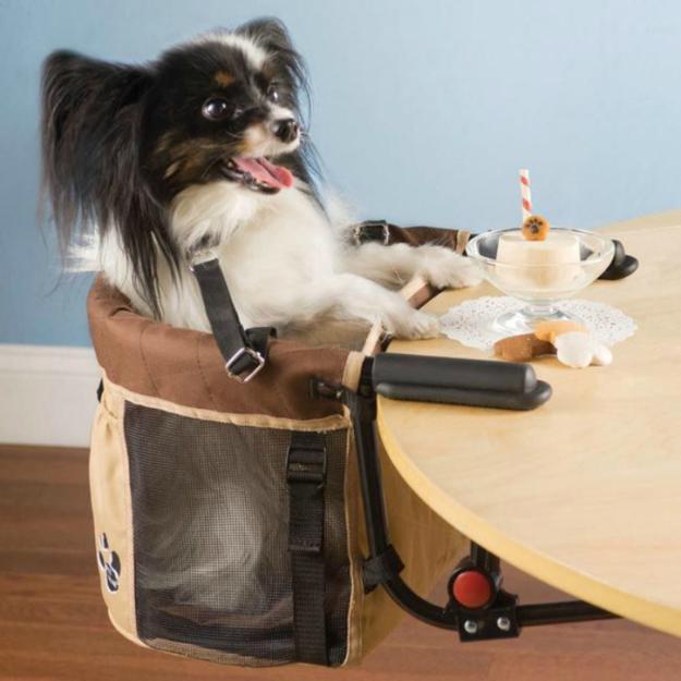 dining chair for pets