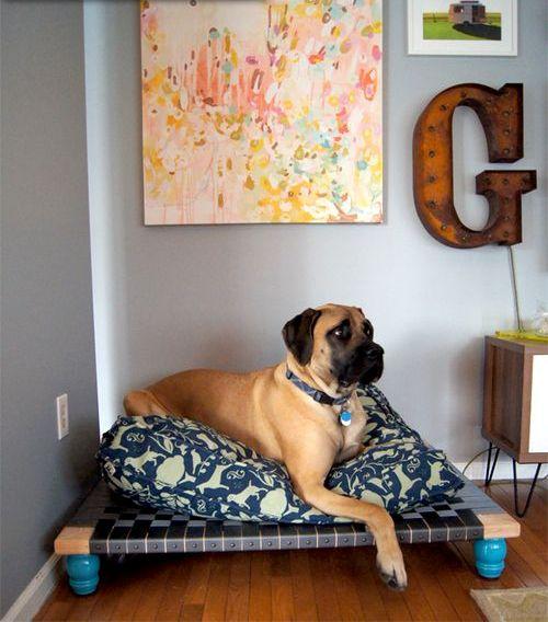 cool dog bed ideas