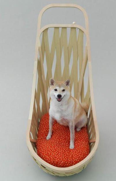 modern pet beds designs for small dogs