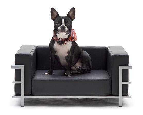 20 Modern Pet Beds, Design Ideas for Small Dogs