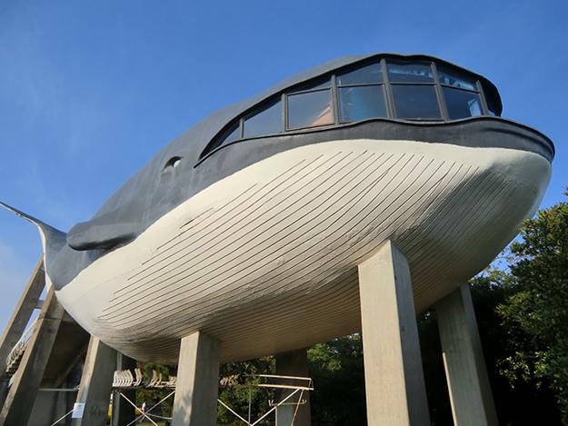 Unusual House Design Ideas Inspired by Animals Unusual House Design Ideas Inspired by Animals