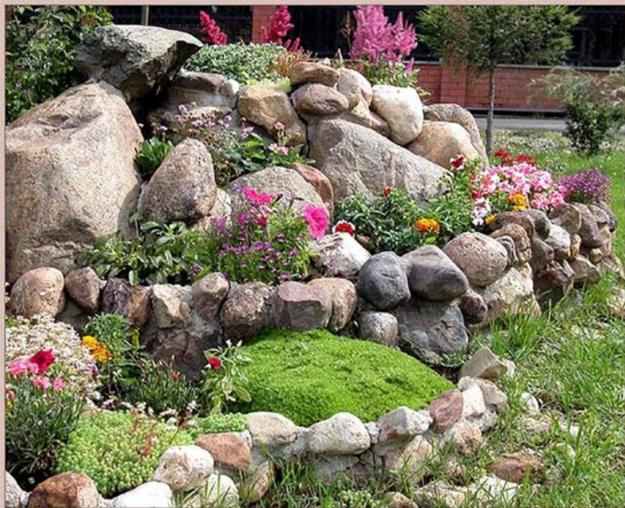 small backyard landscaping with rocks and plants