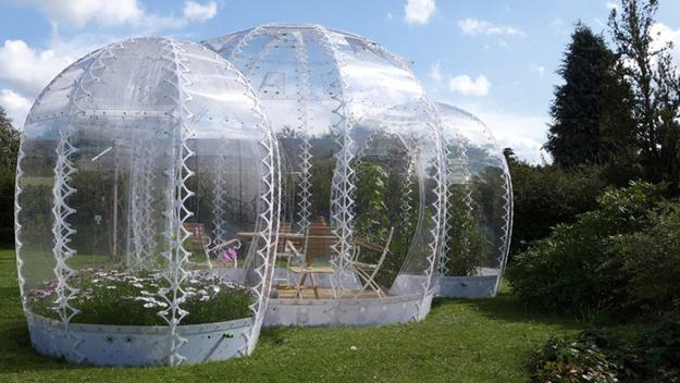 miniature garden in transparent dome