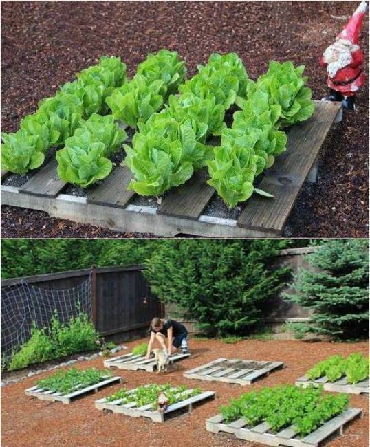 30 Mini Garden Design Ideas Recycling Wood Pallets