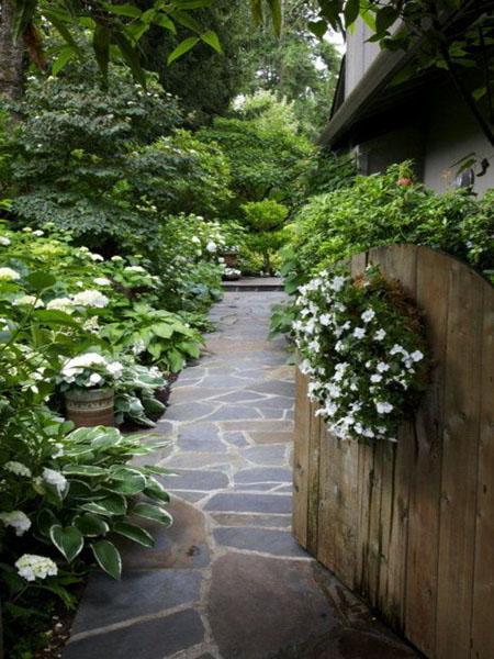 yard landscaping and backyard designs