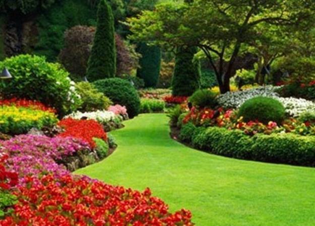 Beautiful Garden Design, Optical Illusions Balancing Yard Landscaping Ideas