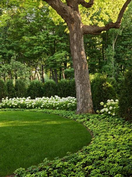 49 Backyard Landscaping Ideas To Inspire You 49 Backyard Landscaping Ideas To Inspire You