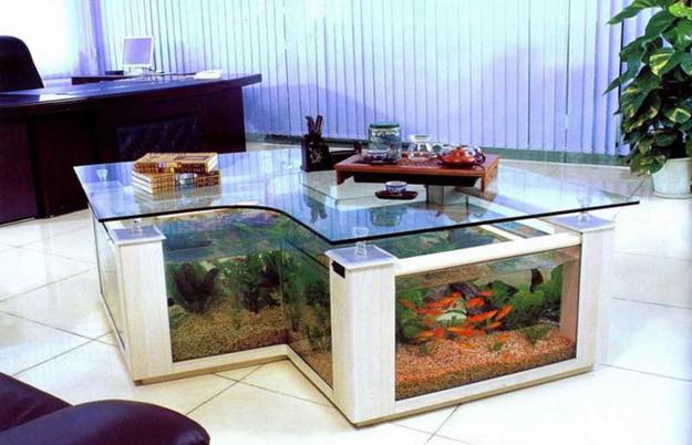 Modern Aquarium Interior Design 