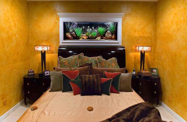 Fish Tank Headboard