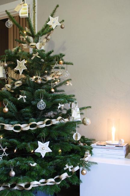 Live Christmas Trees for Eco Friendly Holiday Decor, Green Christmas Ideas