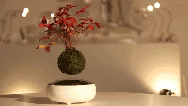 green accessories for interior decorating in eco style and zen home decor