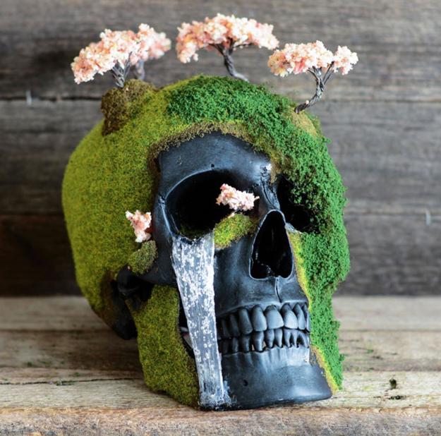 human skulls with moss and bonsai trees