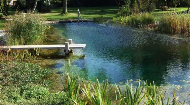 yard landscaping ideas with natural ponds for swimming