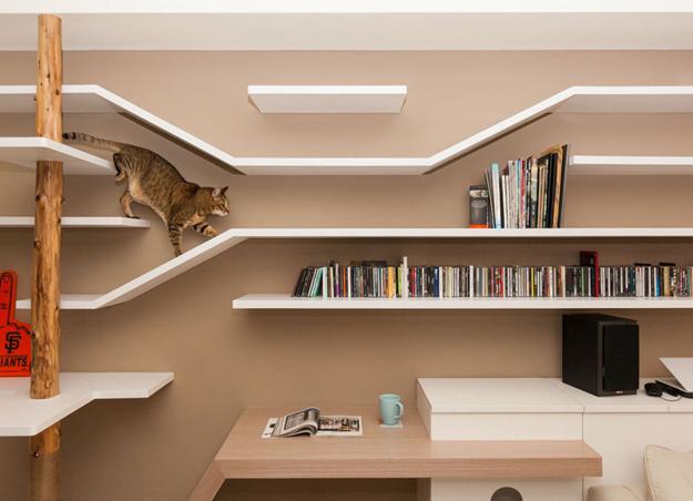 Cat walks on best sale walls