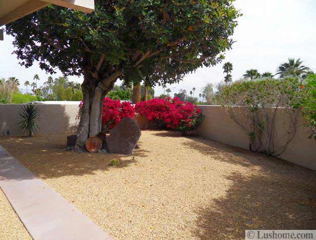 Desert Landscaping Ideas To Save Water And Create Low Maintenance