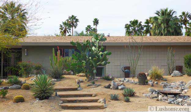 Desert Landscaping Ideas to Save Water and Create Low