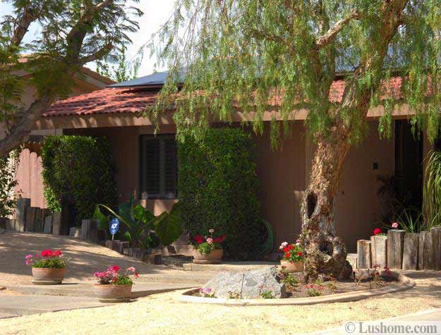 Desert Landscaping Ideas To Save Water And Create Low Maintenance