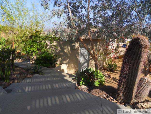 Desert Landscaping Ideas to Save Water and Create Low