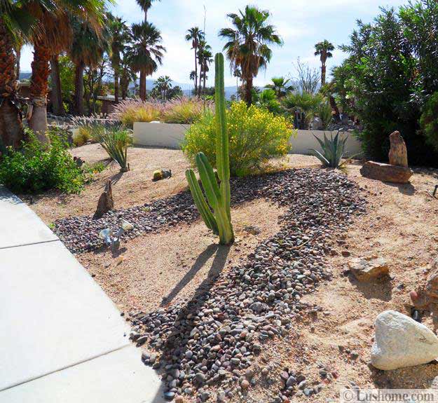 Desert Landscaping Ideas to Save Water and Create Low 