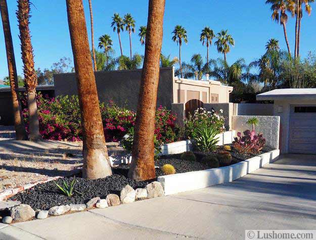 Desert Landscaping Ideas to Save Water and Create Low