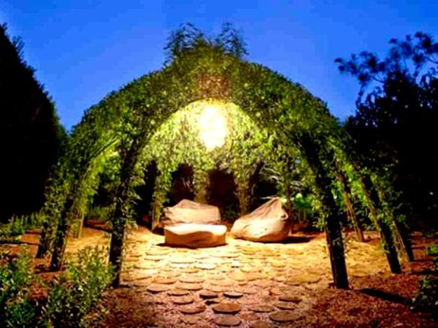 growing plants for live gazebo designs