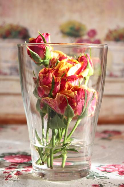 glass vases with flowers in the water