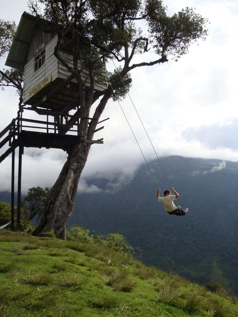 Breathtaking swing and tree house