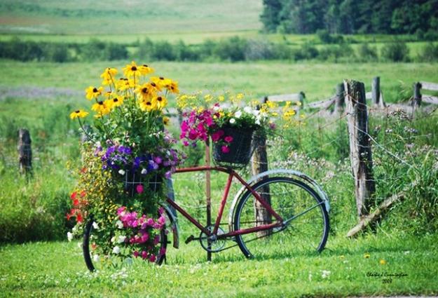 diy bike and flowers garden decorations