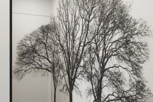 modern wallpapers for interior designs