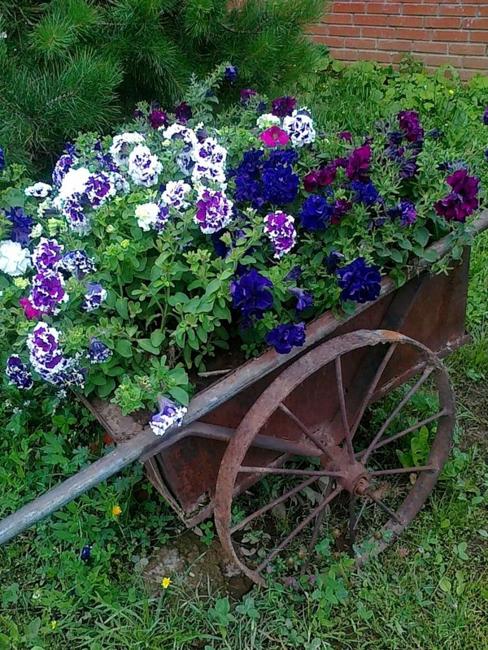 Reclaimed Old Wheels and Summer Flowers Make Beautiful 