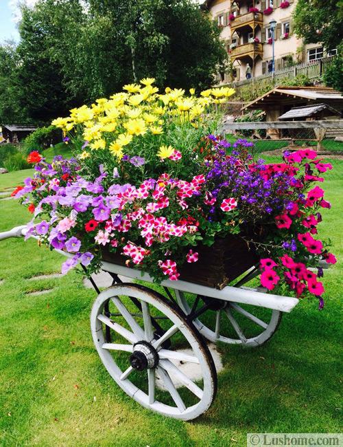 Reclaimed Old Wheels and Summer Flowers Make Beautiful