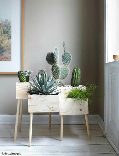 Premium AI Image | Southwestern style modern neon home cactus plant decor  design AI Generated image