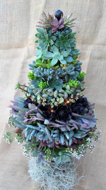 25 Modern Ideas to Design Live Christmas Trees with Succulents