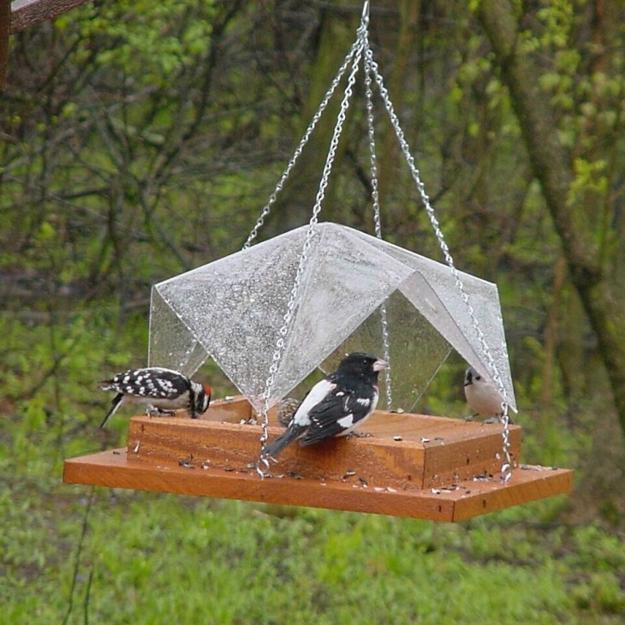 Adding Bird Feeders to Your Winter Garden, Easy Ways to 
