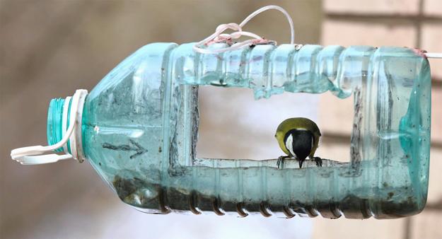 Recycling for DIY Bird Feeders, Helping Feathered Friends ...
