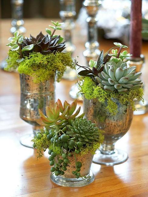 recycling glasses for green table centerpieces