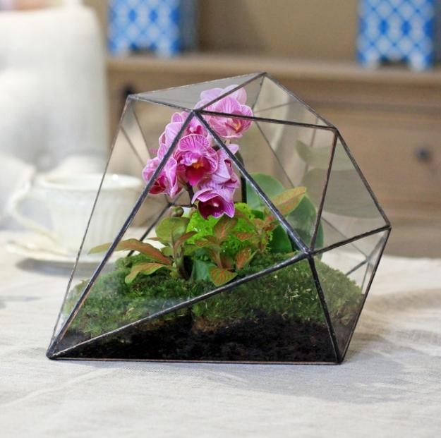 geometric glass terrarium