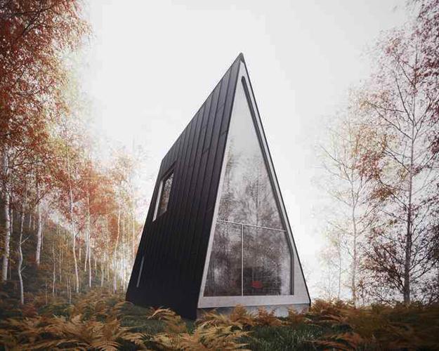 modern designs architectural triangles triangular houses triangle unique windows trees ordinary taking surrounded lushome