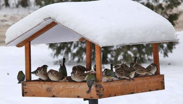 Wood Bird Feeder, 25 Design Ideas for DIY Garden Decorations