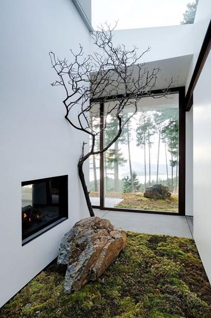 large window and miniature garden