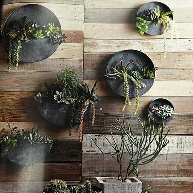 Green Ideas for Modern Wall Decoration Original Vertical Green Ideas for Modern Wall Decoration Original Vertical