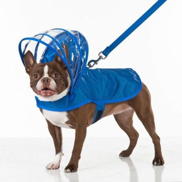 Pet Design Ideas Dog Umbrellas to Protect Four Legged Friends